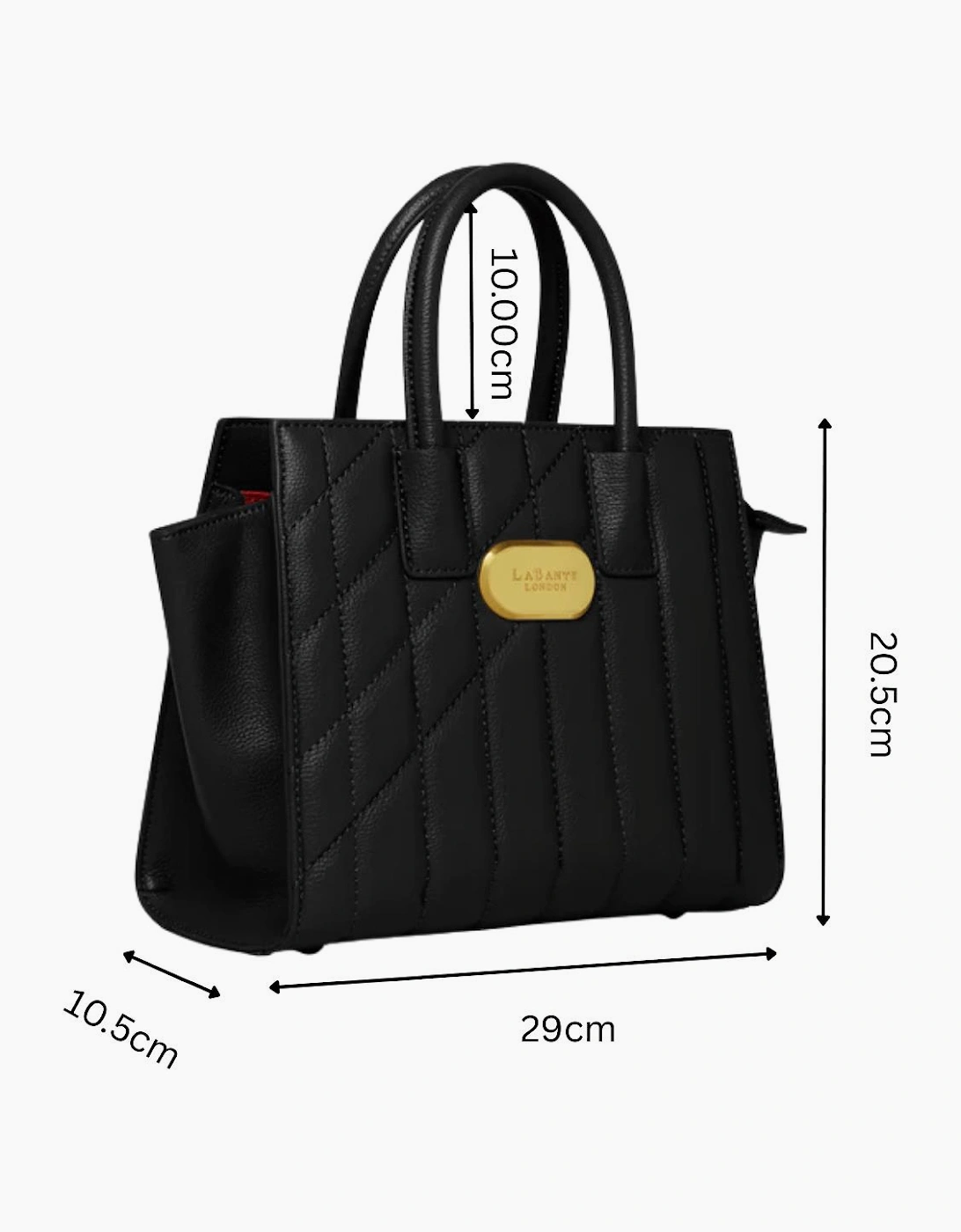 Mini Demi Tote Bag in Black