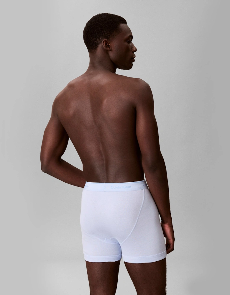 Calvin Klein BOXER BRIEFS Mens Boxer Briefs Multicoloured