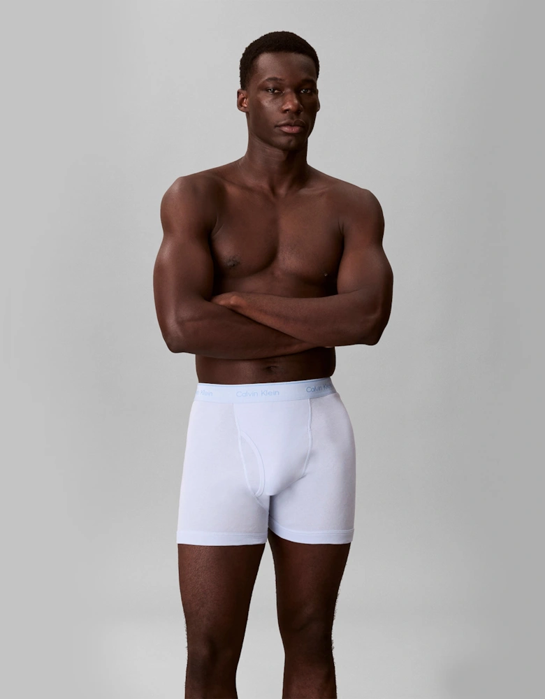 Calvin Klein BOXER BRIEFS Mens Boxer Briefs Multicoloured