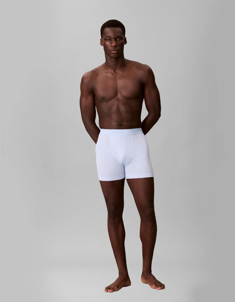 Calvin Klein BOXER BRIEFS Mens Boxer Briefs Multicoloured