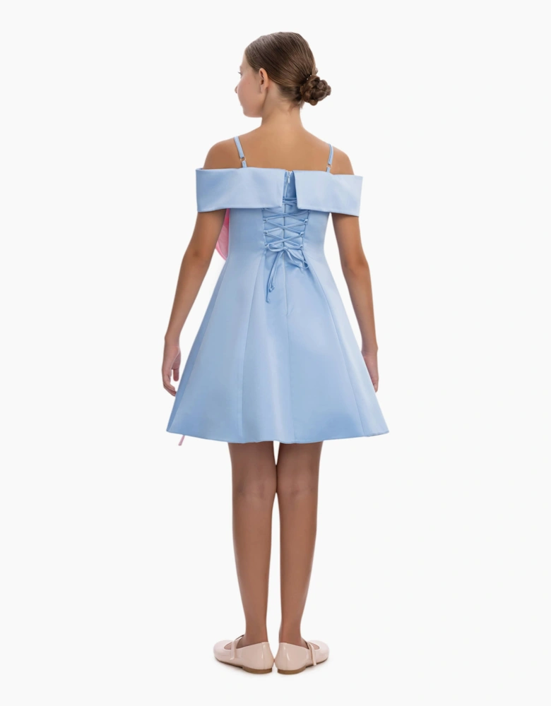 Girls Flower Occasion Dress in Blue