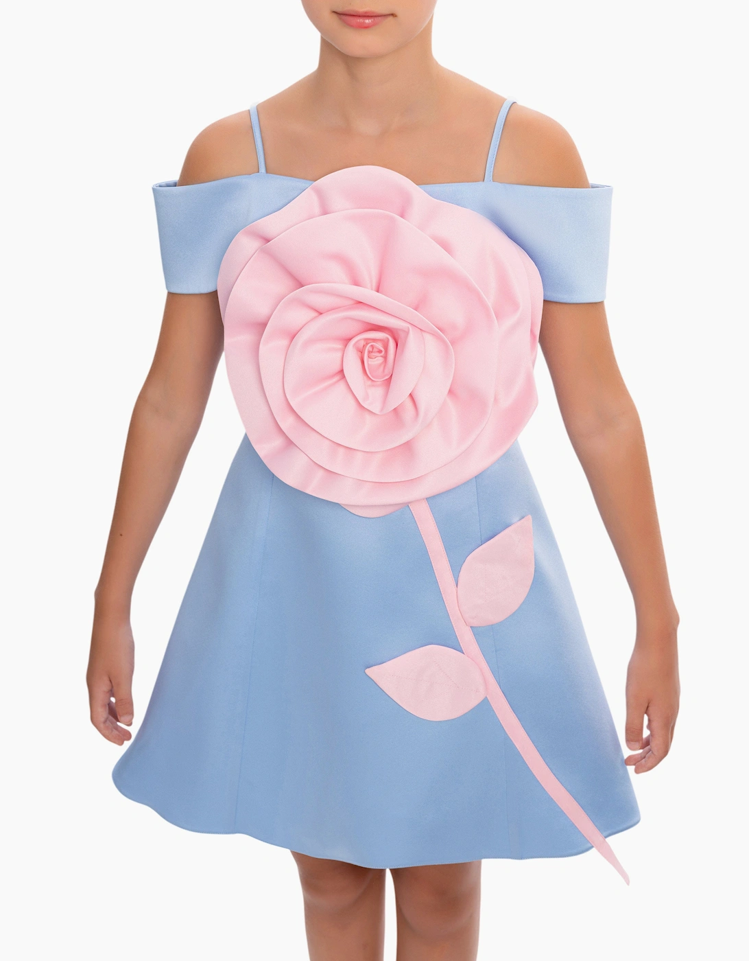 Girls Flower Occasion Dress in Blue