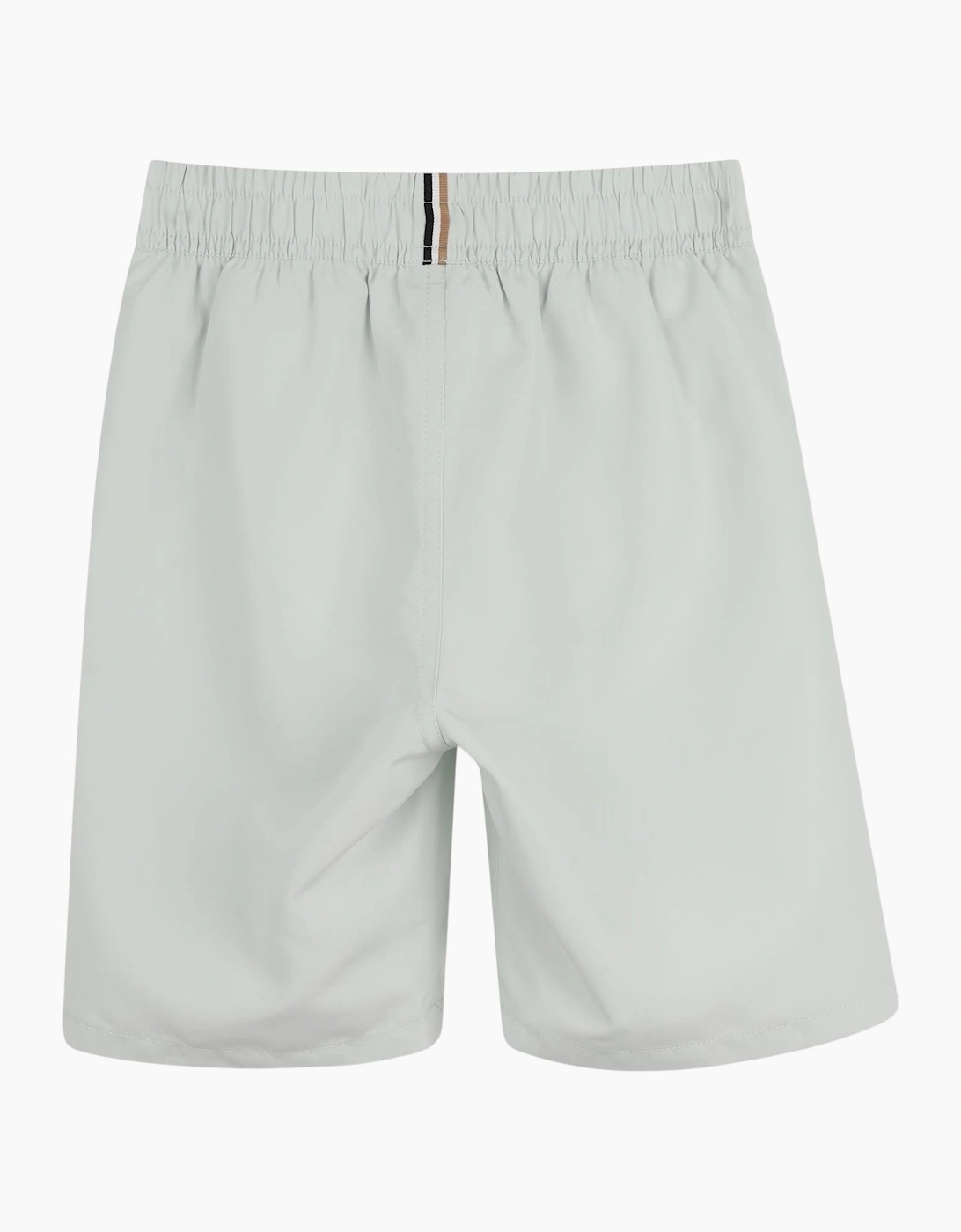 Boys Mint Green Logo Swim Shorts