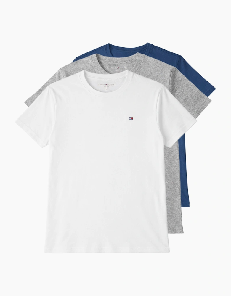Tommy Hilfiger SS TEE Mens T-Shirt Multicoloured