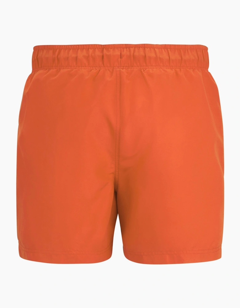 Mens Mawson II Swim Shorts