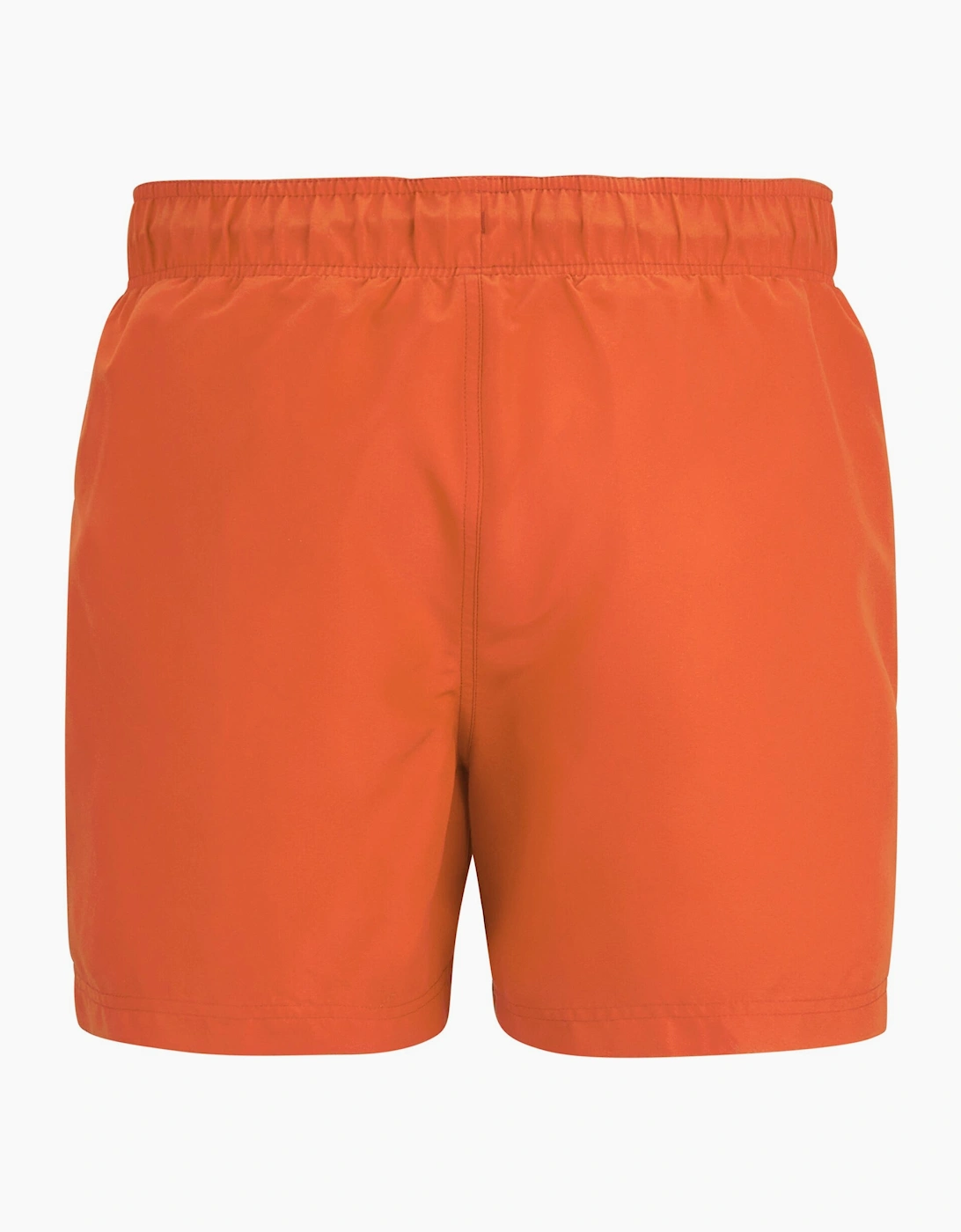 Mens Mawson II Swim Shorts
