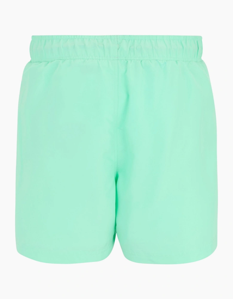 Mens Mawson II Swim Shorts