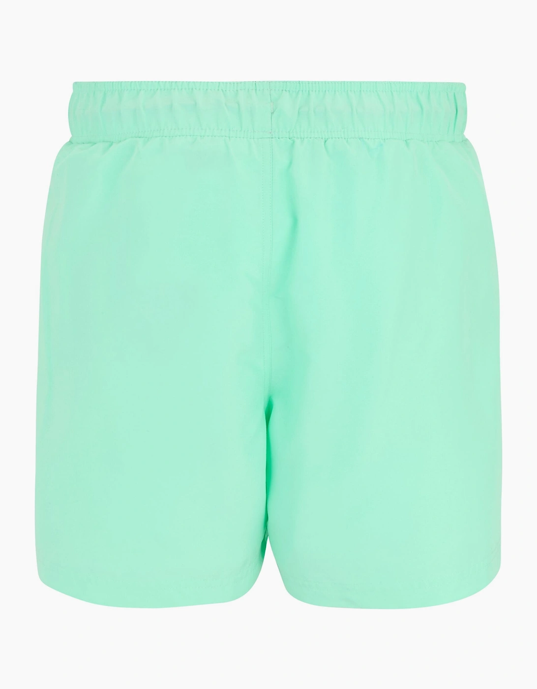 Mens Mawson II Swim Shorts