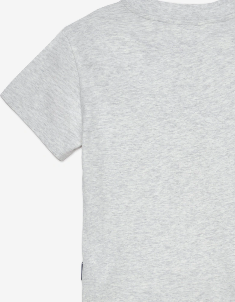Boys Logo Stamp Regular T-Shirt in Grey