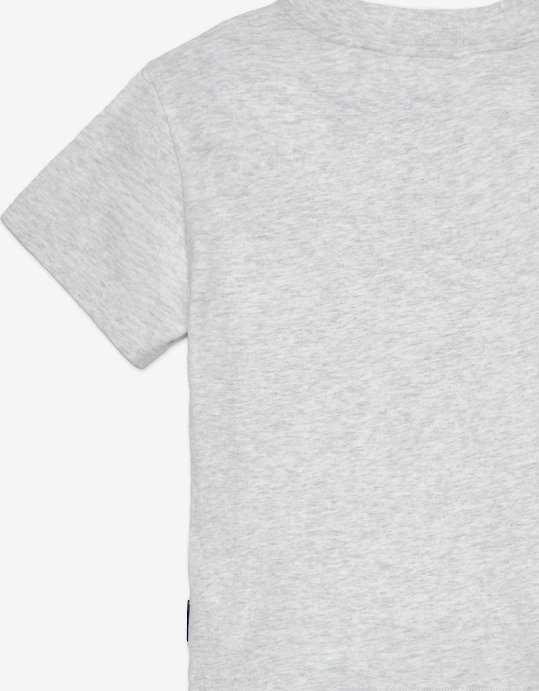 Boys Logo Stamp Regular T-Shirt in Grey