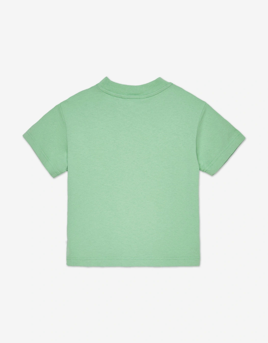 Boys Bear T-Shirt in Green