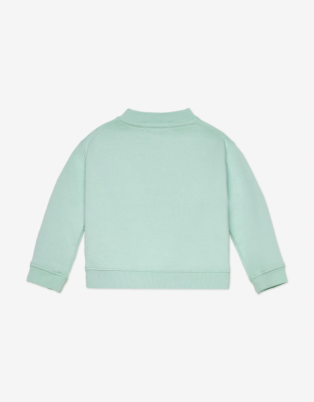 Baby Boys Bear Sweatshirt in Green