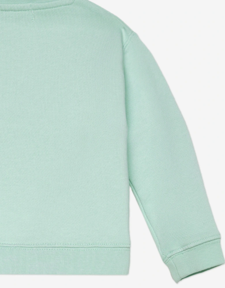 Baby Boys Bear Sweatshirt in Green