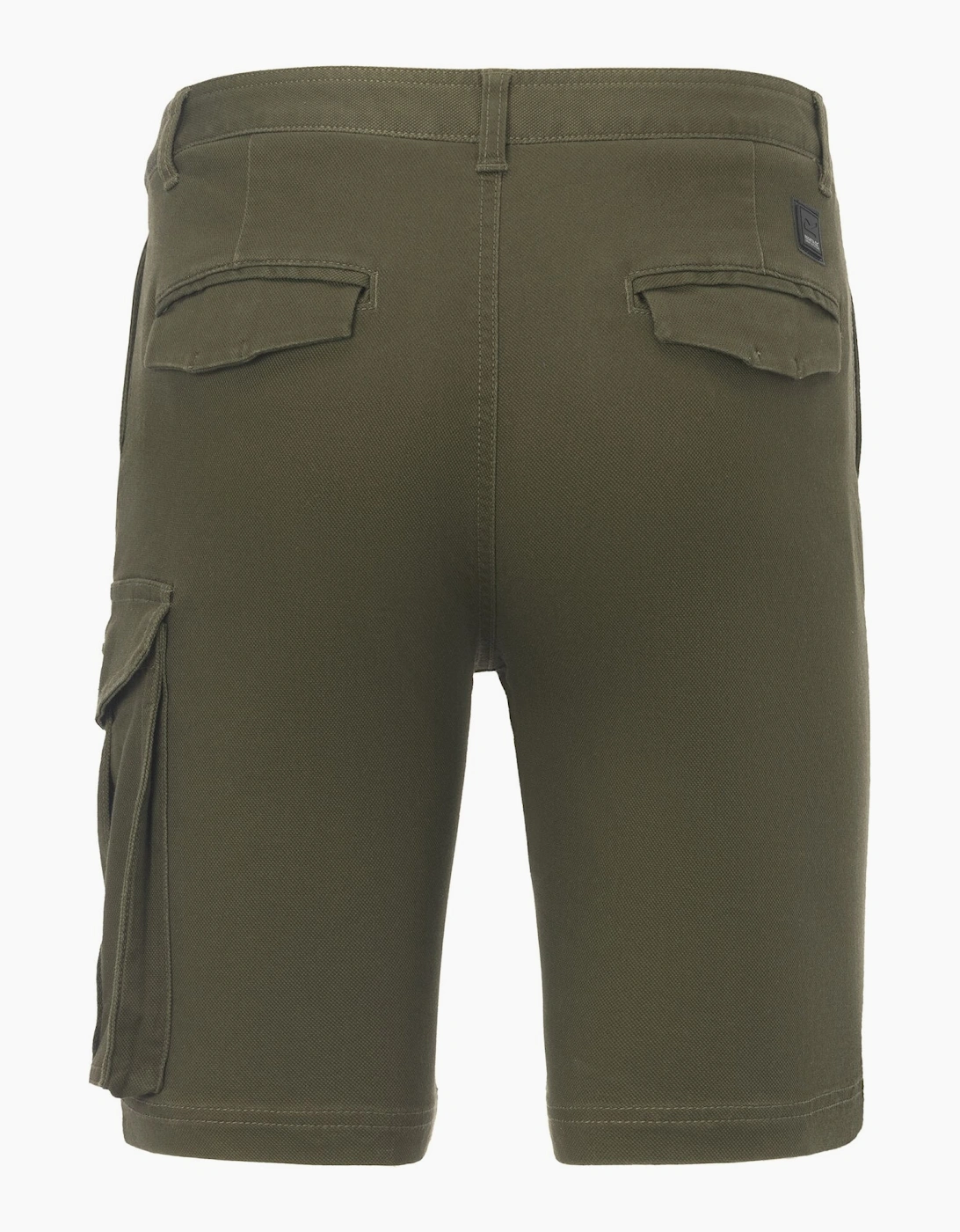 Regatta Mens Bendrick Shorts