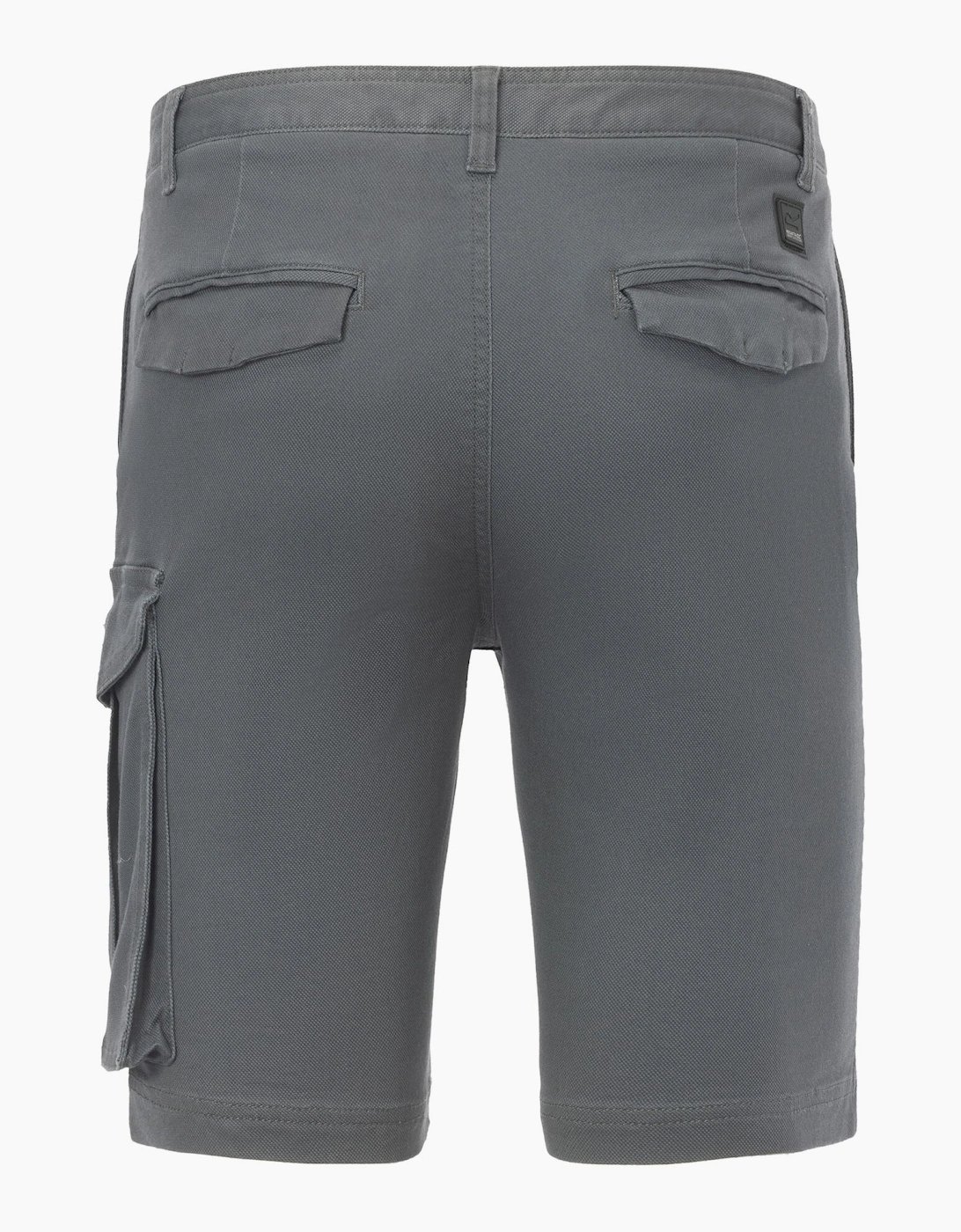 Regatta Mens Bendrick Shorts