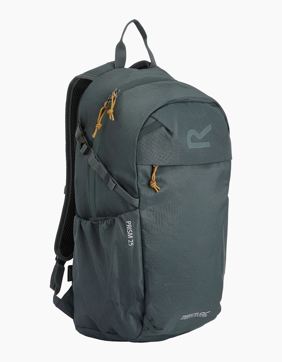 Prism Logo 25L Backpack