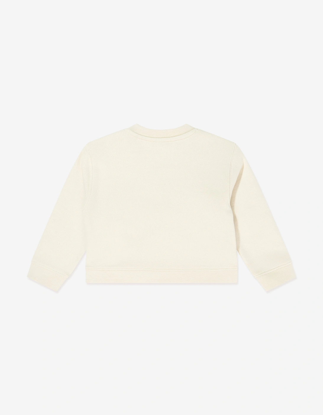 Palm Angels Baby Boys Spray Bear Regular Sweatshirt in Beige