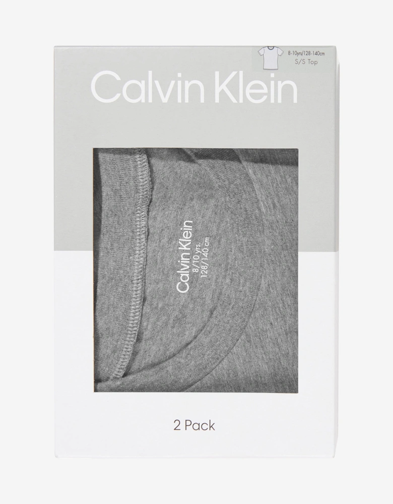 Calvin Klein Boys 2 Pack T-Shirt Set in Grey