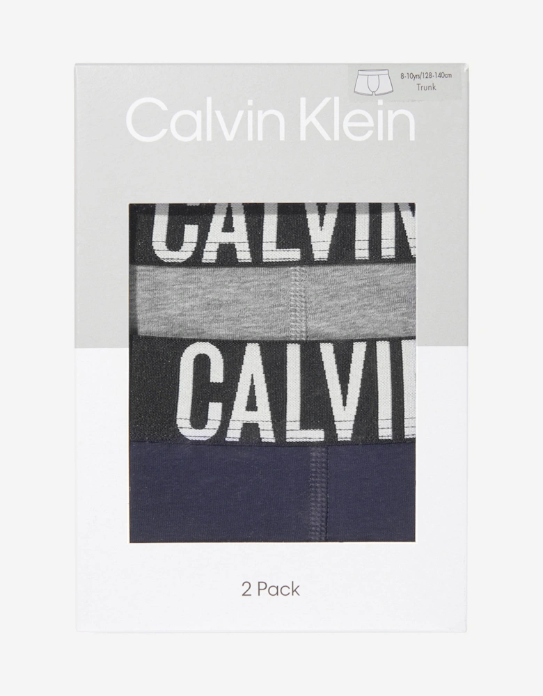 Calvin Klein Boys 2 Pack Boxer Shorts Set in Grey