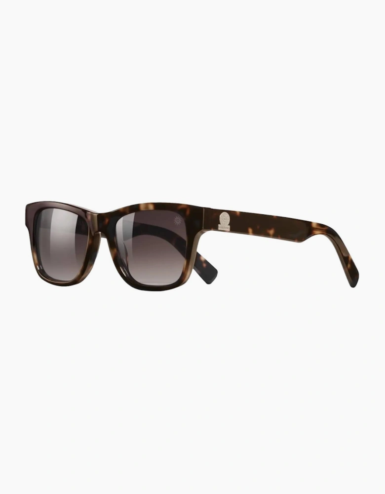 Sandbanks Riviera Sunglasses Havana