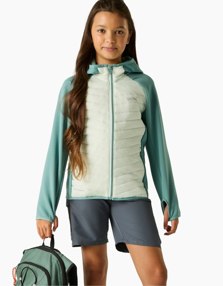 Regatta Childrens/Kids Andreson Hybrid Padded Jacket