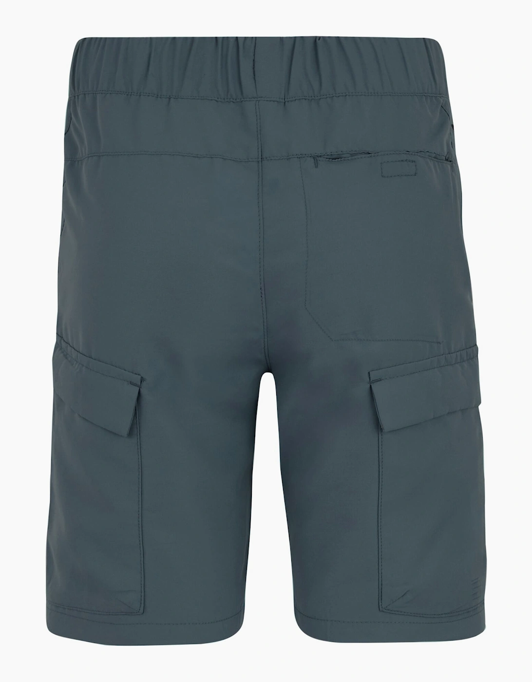 Regatta Childrens/Kids Sorcer III Shorts