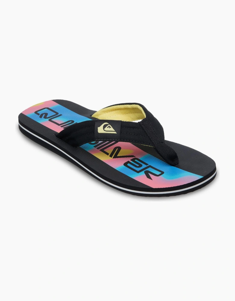 Quiksilver Mens Molokai Screen Flip Flops