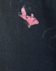 Thumbnail 6 of 6