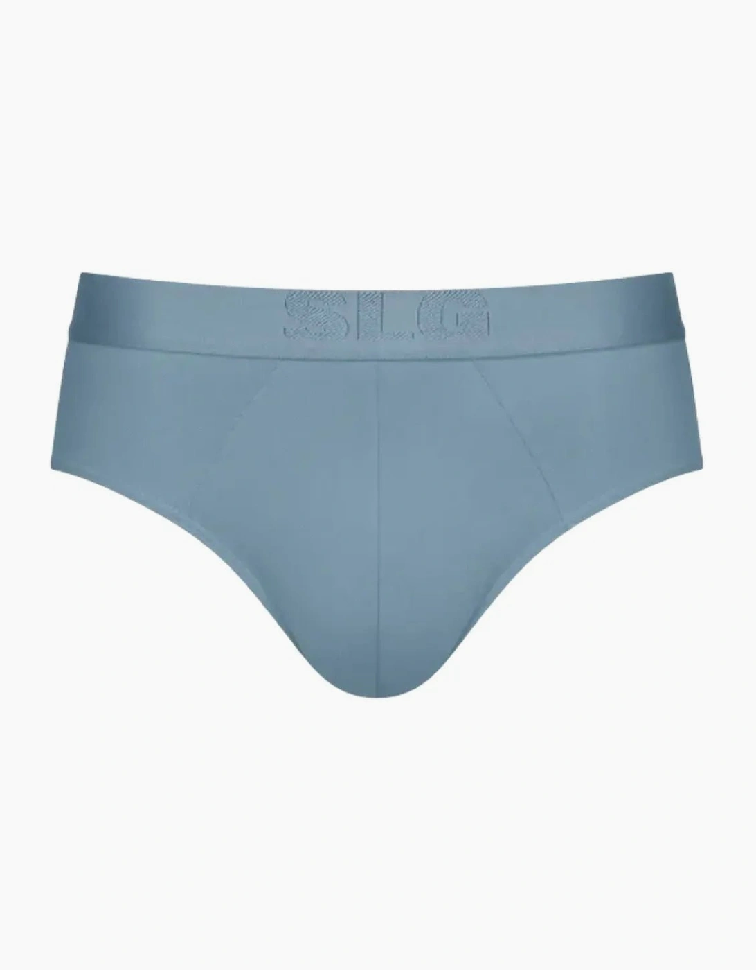 2-Pack SLG Base Modal Soft Briefs, Blue Combination