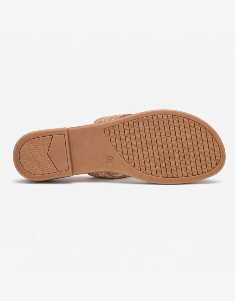 Cipriata CELINA Womens Mules Sandals Gold