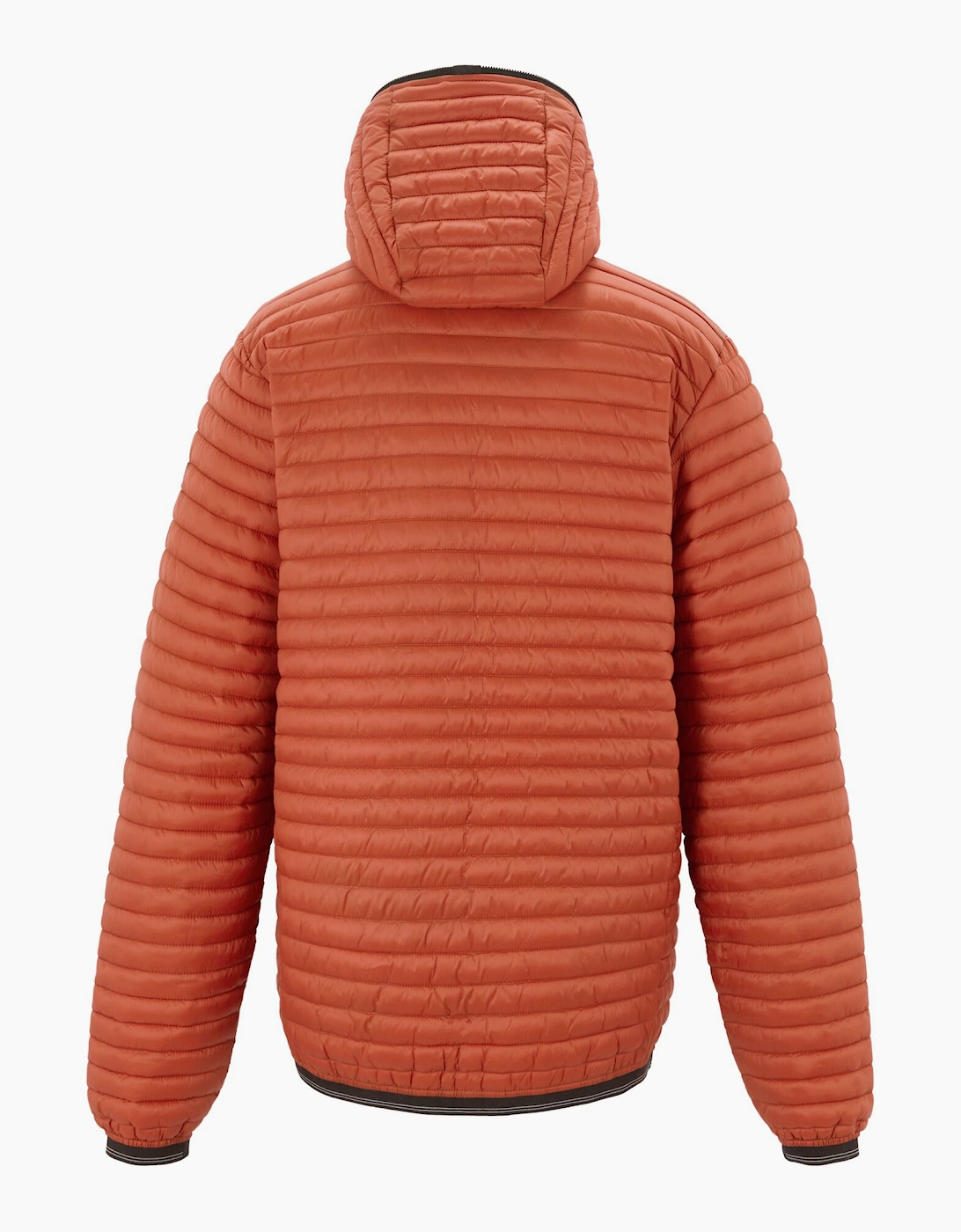 Regatta Mens Rigain Padded Jacket