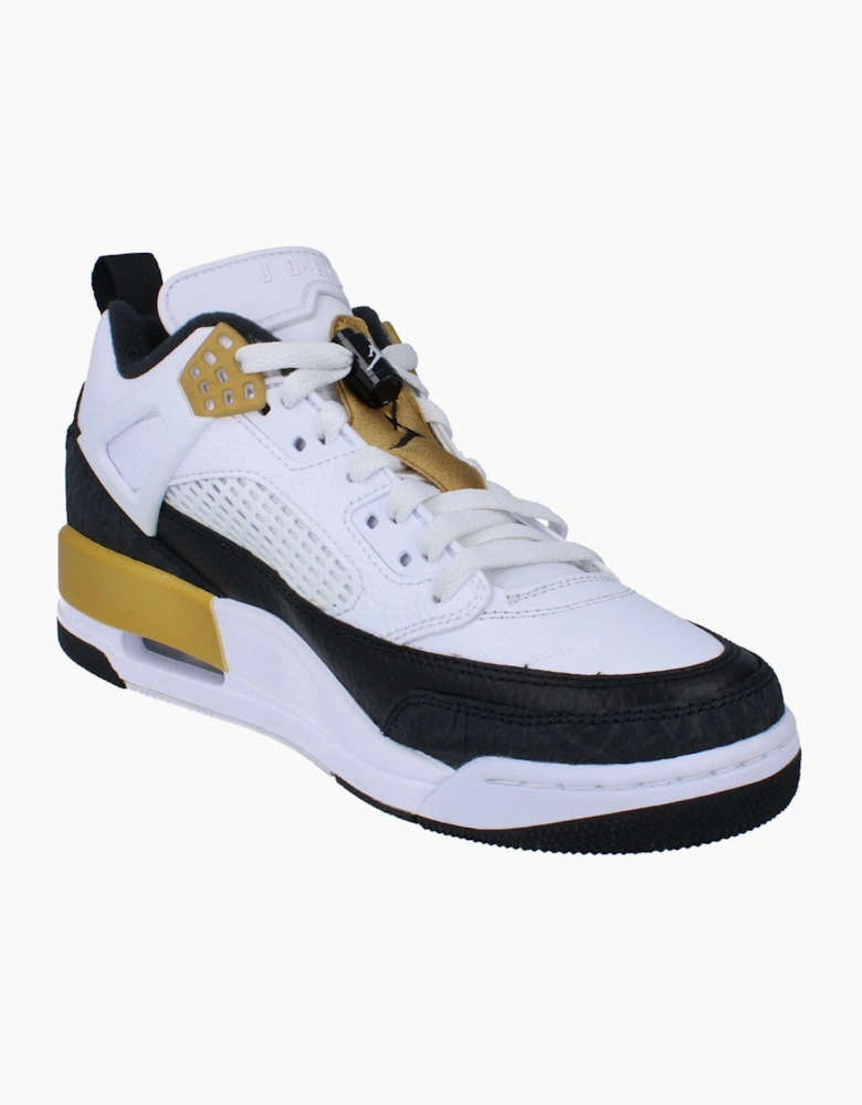 Nike Air Jordan Spizike Low Mens Basketball Trainers FQ1759 108
