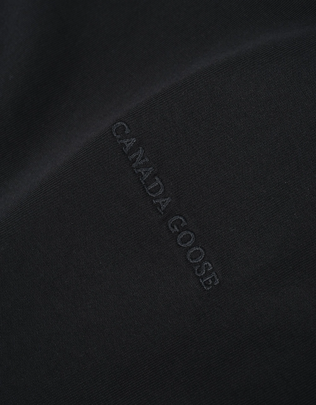 Womens Roam T-Shirt Black