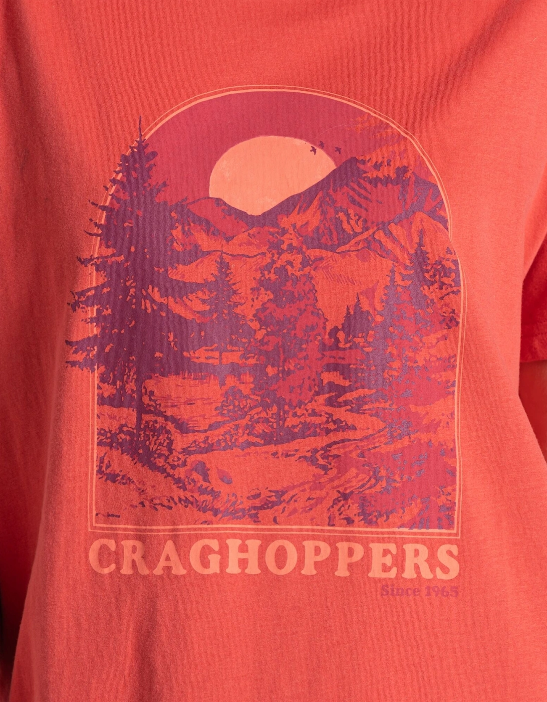 Craghoppers Womens/Ladies Yago Mountain T-Shirt