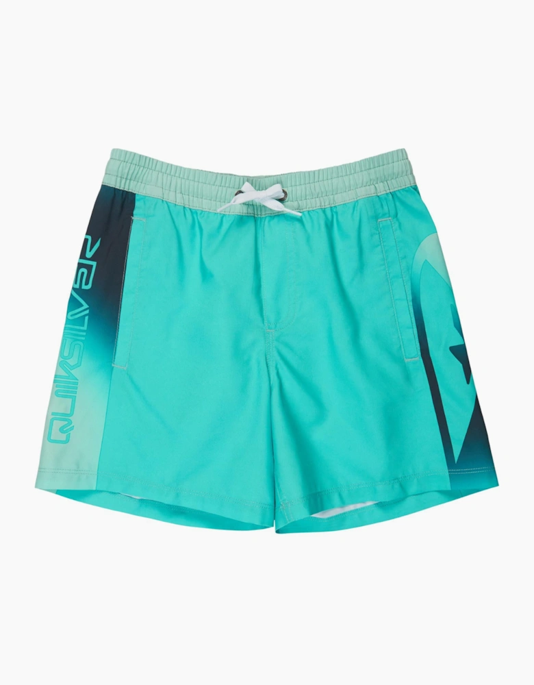 Quiksilver Kids Everyday Holmes Volley 16" Swim Shorts