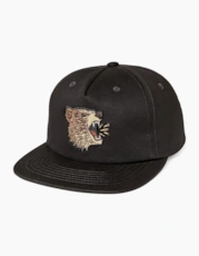 Bear/Black