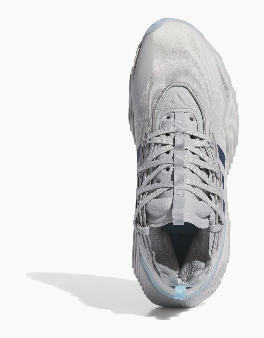 Low Top Flat Heel Sneakers - Low Top Sneakers with Low Heel