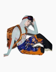 Thumbnail 4 of 6