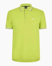 Pastel Green