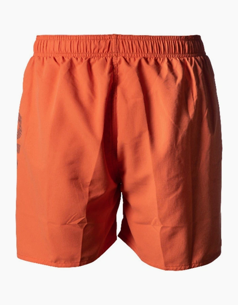 Fundamentals Logo R Beach Boxer