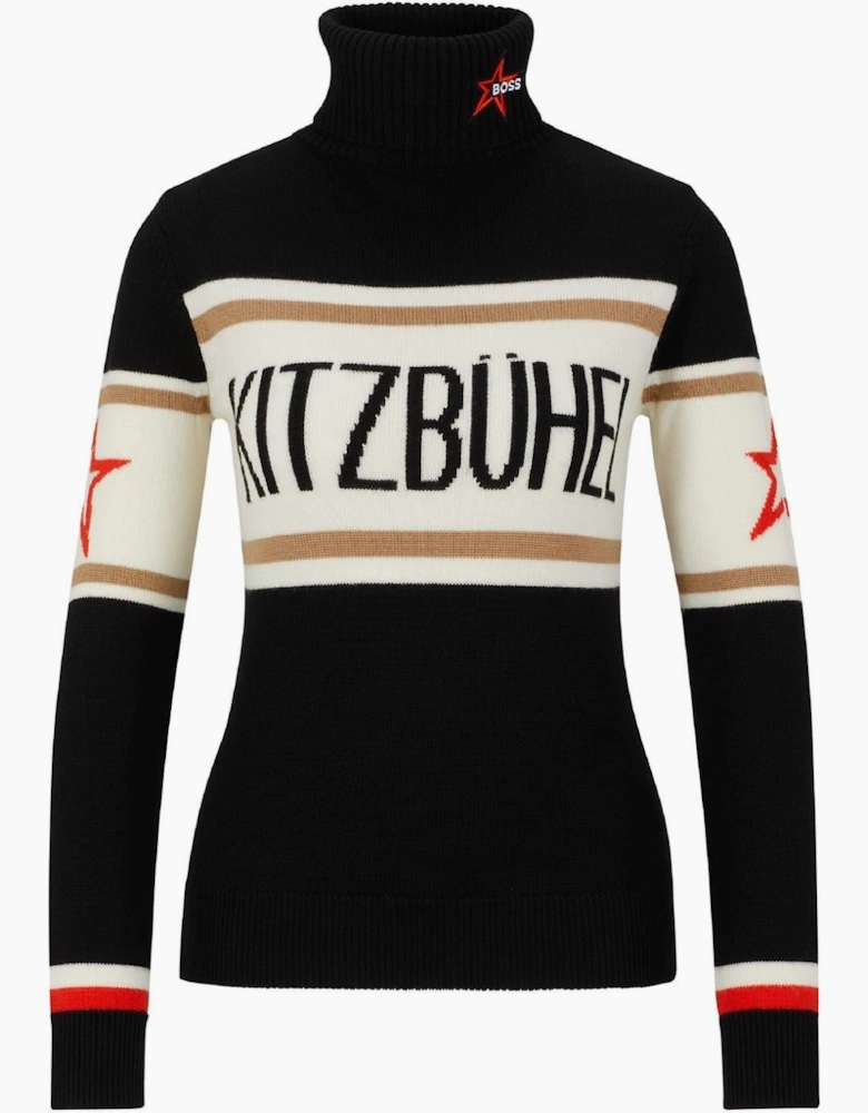 Turtle Neck Long Sleeve Regular Fit Sweater