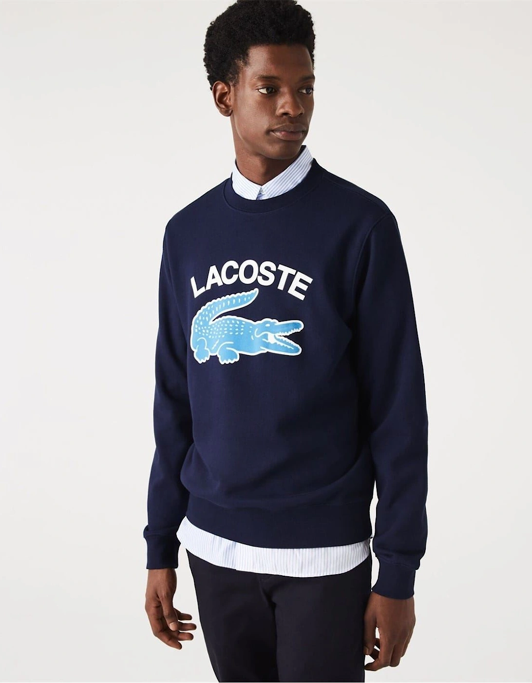 Crocodile Print Regular Fit Long Sleeve Sweatshirt, 4 of 3