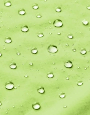Thumbnail 5 of 5