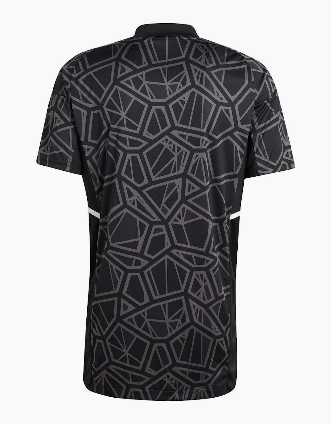 V Neck Regular Fit Short Sleeve T-Shirt