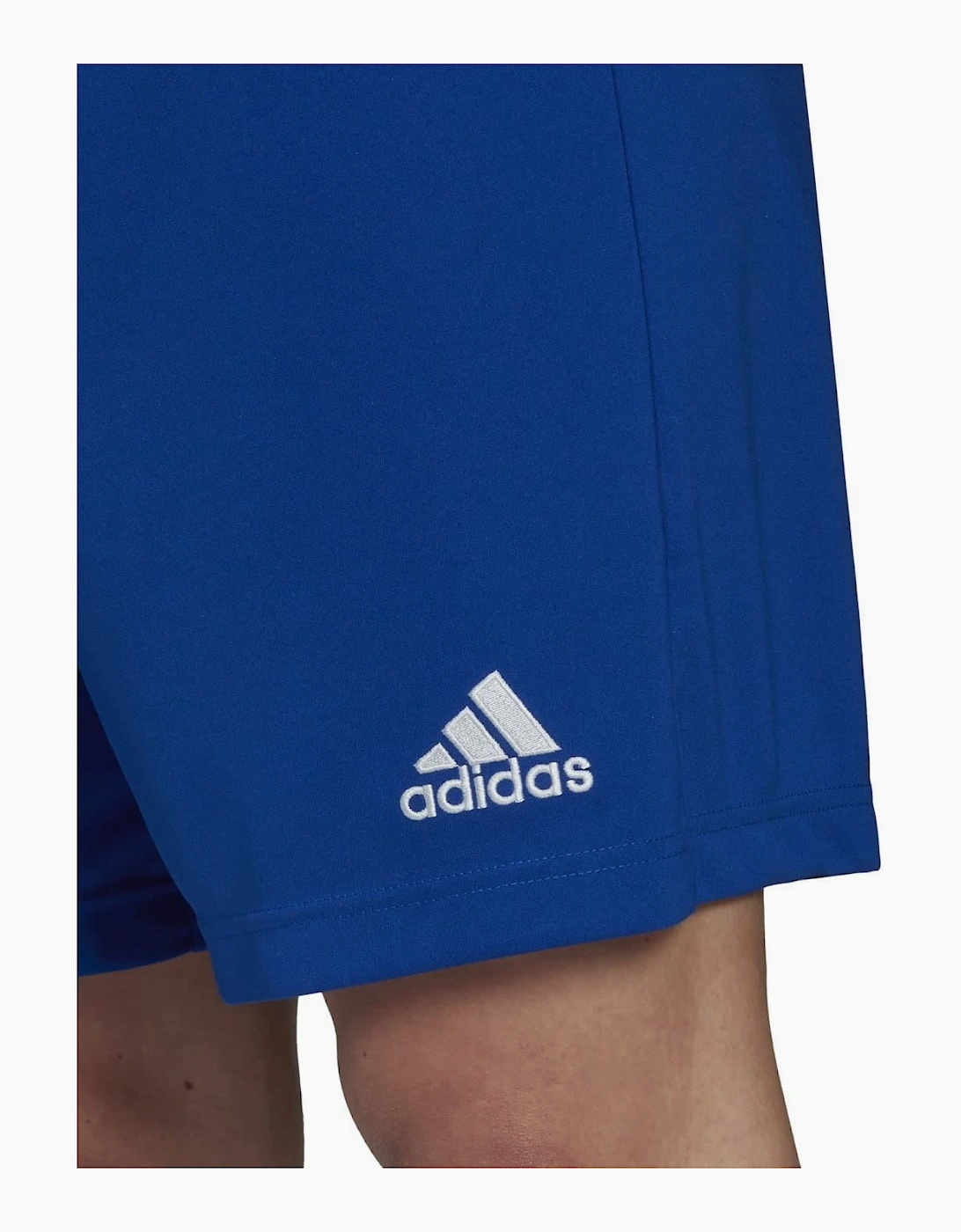 Mens Entrada 22 Shorts
