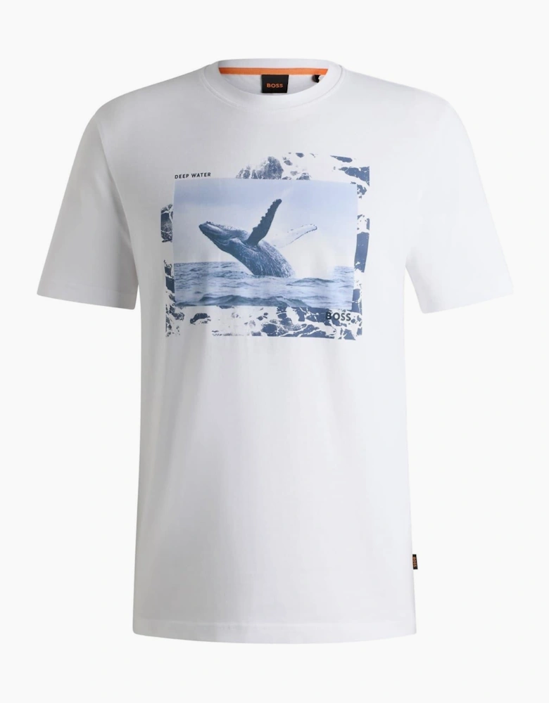 Crew Neck Short Sleeve Regular Fit T-Shirt
