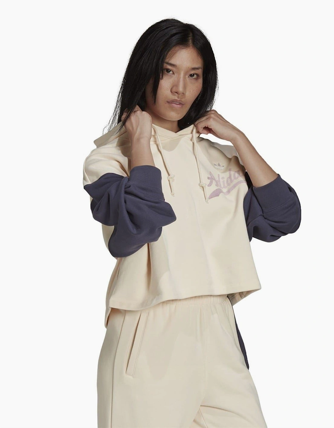 Cropped Hooded Relaxed Fit Sweatshirt