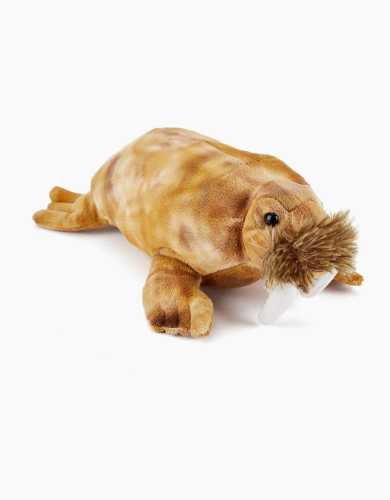 Co Walrus Soft Toy 33 cm