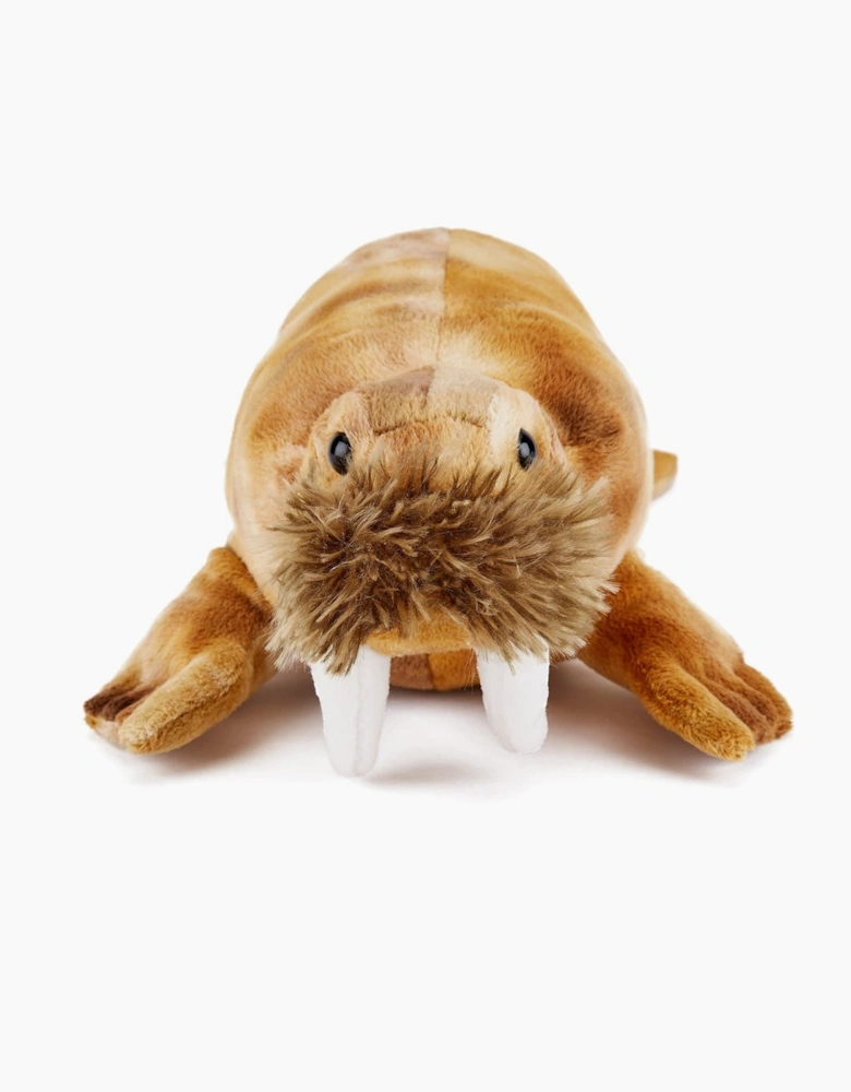 Co Walrus Soft Toy 33 cm