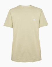 Pastel Green